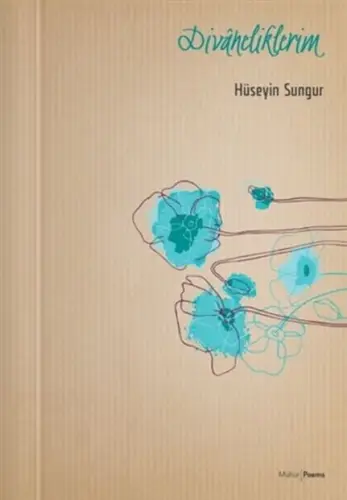 Divaneliklerim