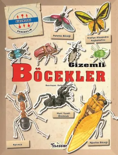 Gizemleri Öğrenelim -  Böcekler