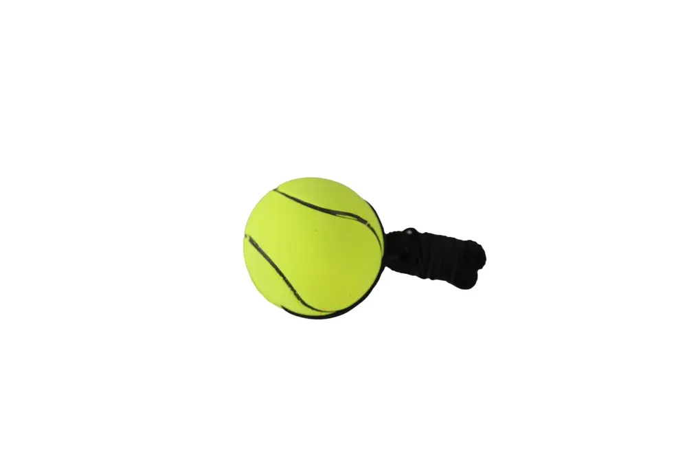 RSN-011 KUTUDA BİLEKLİKLİ TOP 2