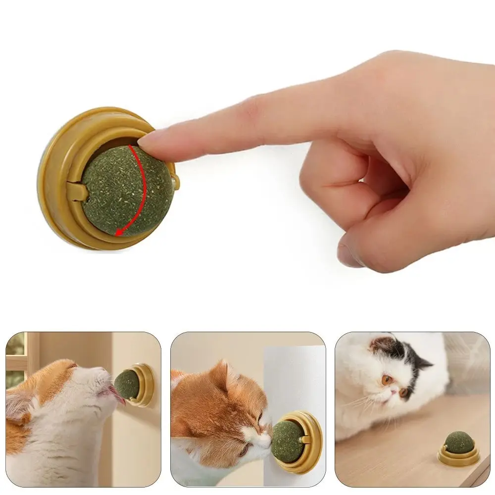 Duvara Yapışan Dönen Kedi Nanesi Cat Oyun Topu Doğal Kedi Oyuncağı 3