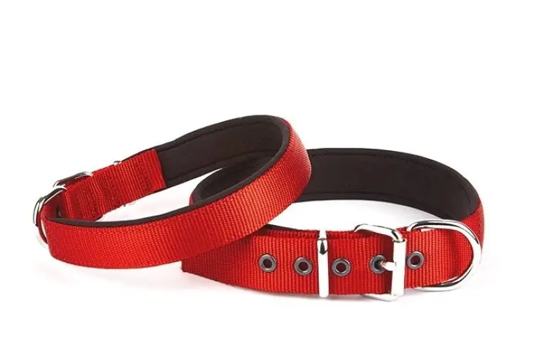 Seri Dokuma Köpek Boyun Tasması 5x50-60cm Kırmızı
