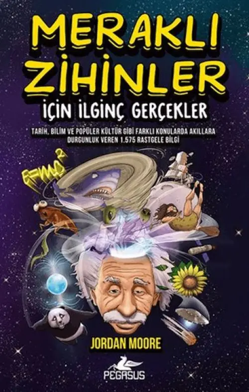 Meraklı Zihinler İçin İinç Gerçekler