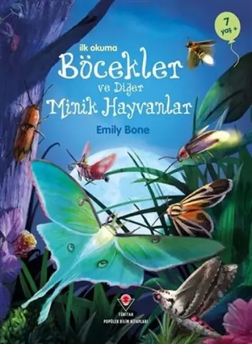 İlk Okuma - Böcekler ve Minik Hayvanlar