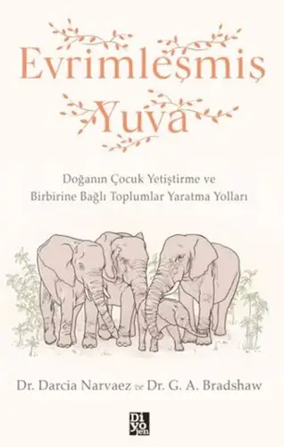 Evrimleşmiş Yuva