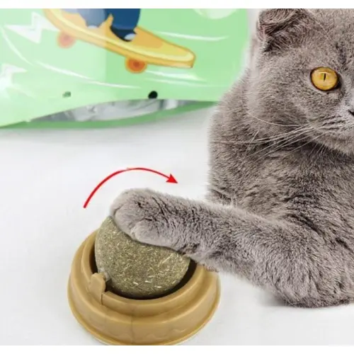 Kedi Nanesi Oyun Topu 4