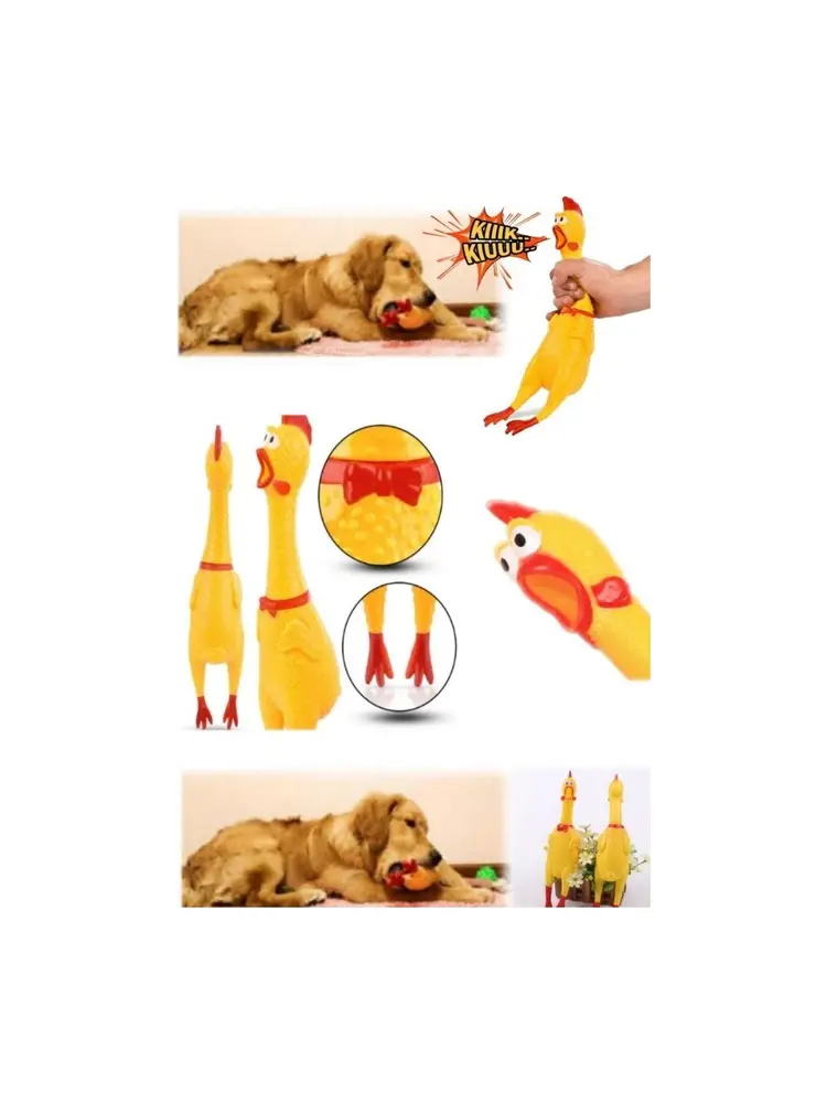Sesli Horoz Eğlenceli Köpek ve Kediler İçin Sesli Öten Horoz Oyuncak 28 cm 6