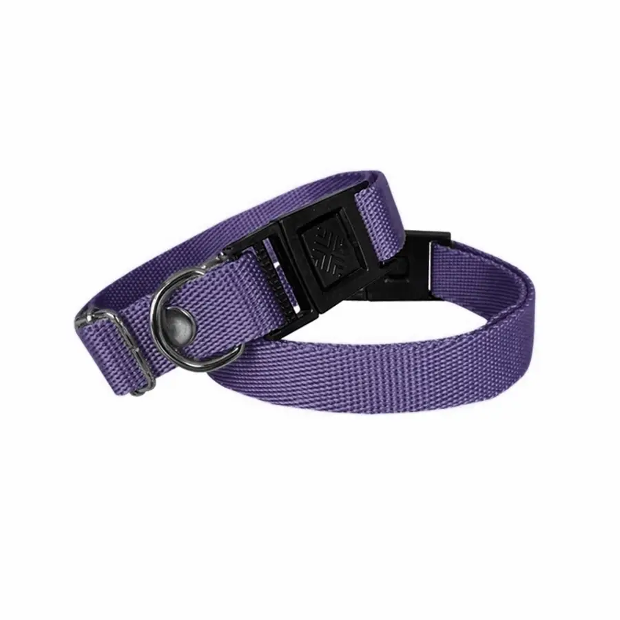 Köpek Tasması Dokuma 2 cm - Min: 30 cm - Max: 50 cm Mor