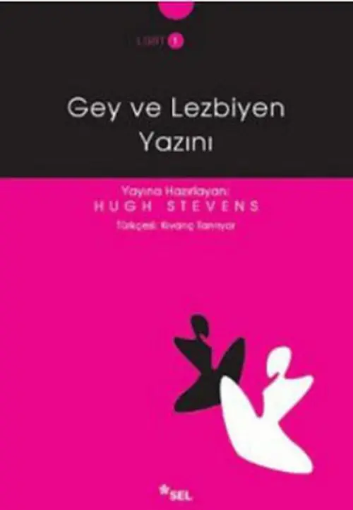 Gey ve Yazını