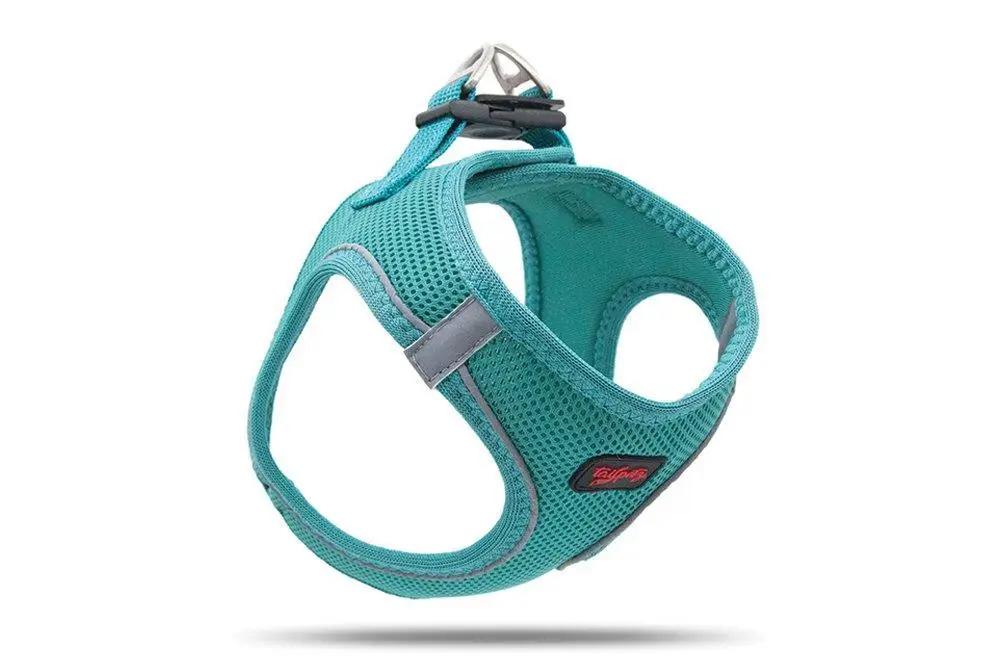 Köpek Göğüs Tasması XSmall 32x36 cm Emerald 3