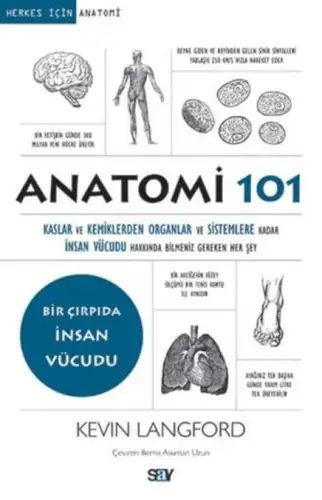 Ami 101