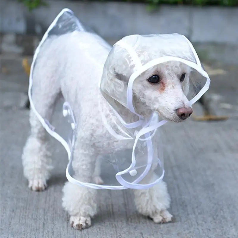 Köpek Yağmurluğu -Sarı - (Small) 2