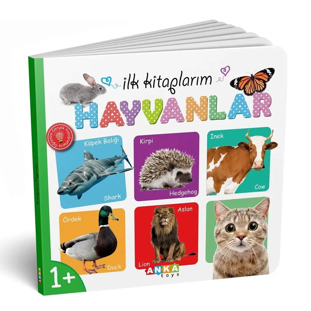 7202 İLK KİTAPLARIM 6LI SET 5