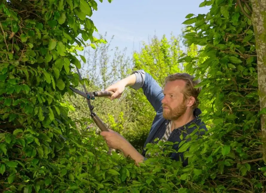 Gardena 12300-20 NatureCut Çit Makası 3