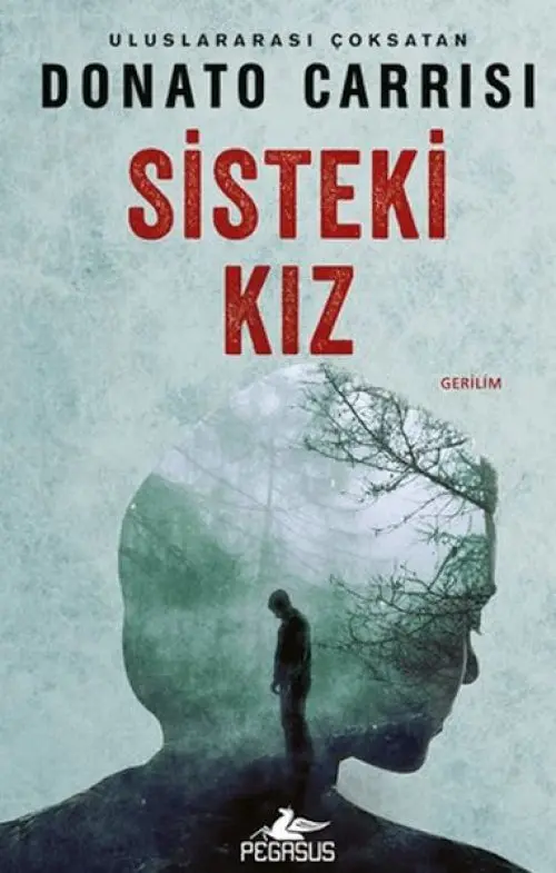 Sisteki Kız