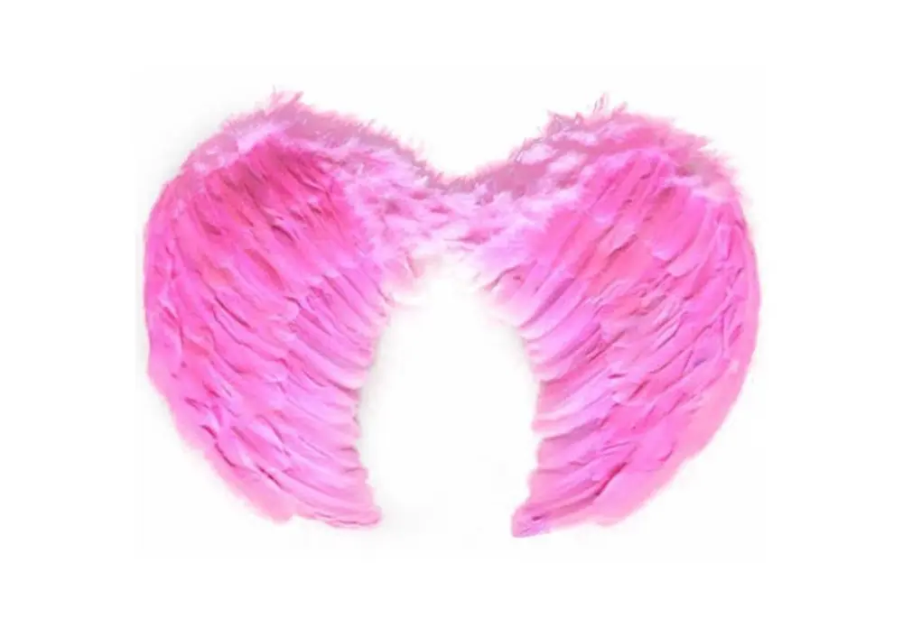 Melek Kanadı Büyük Boy - Pembe 4