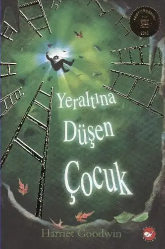 Yeraltına Düşen Çuk