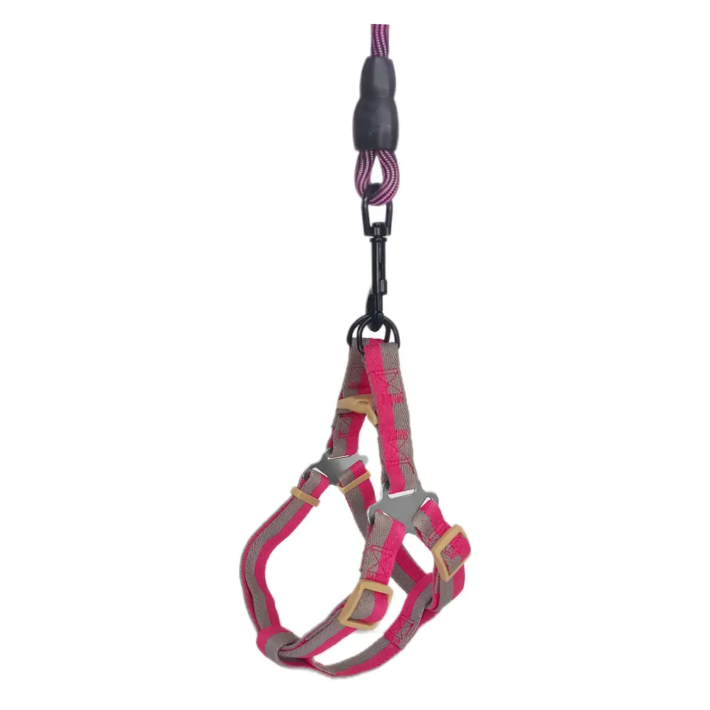Köpek Göğüs Tasma Seti Daa Desenli 2 cm*40-58 cm Mor-Pembe 7