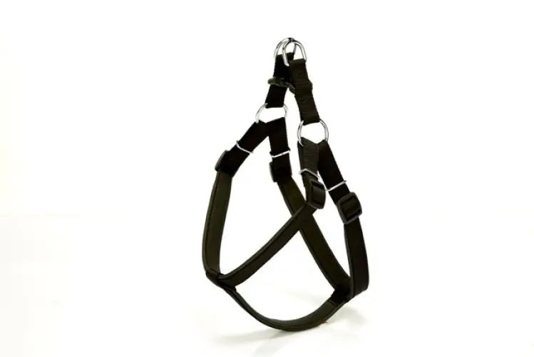 Köpek Bel Tasması 95cm XX-Large Siyah