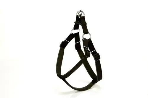 Köpek Bel Tasması 95cm XX-Large Siyah