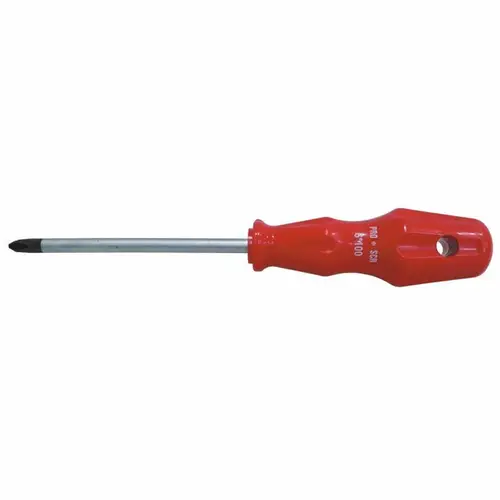 Pro-Scr 02573 Yıldız Uçlu Tornida 5X100 mm