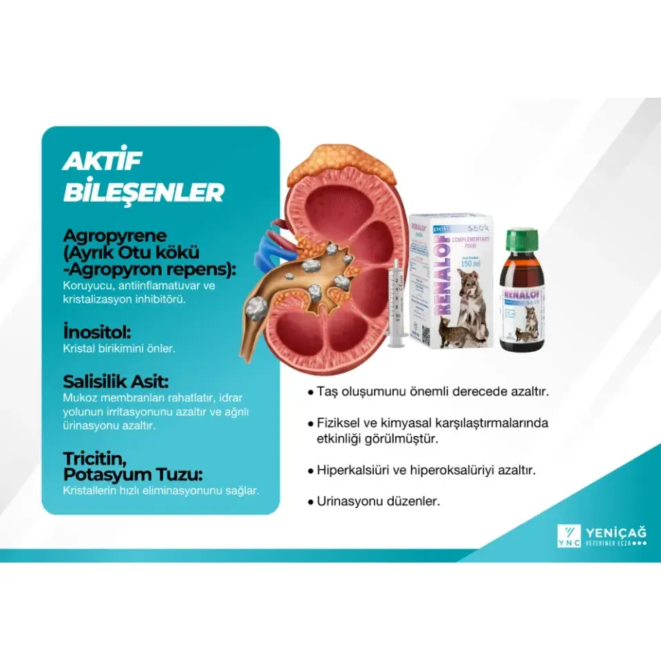 Catalysis Renf Pets 30 Ml- Kedi Ve Köpekte Böbrek - Idrar Yolu Taşları 3