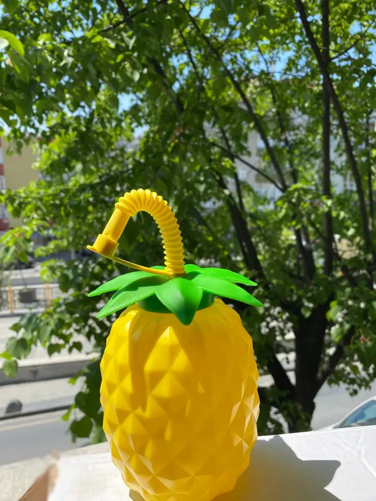 Ananas Pipetli Suluk 2
