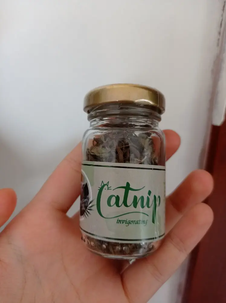 Catnip Doğal Kedi Otu - Kedi Nanesi 2
