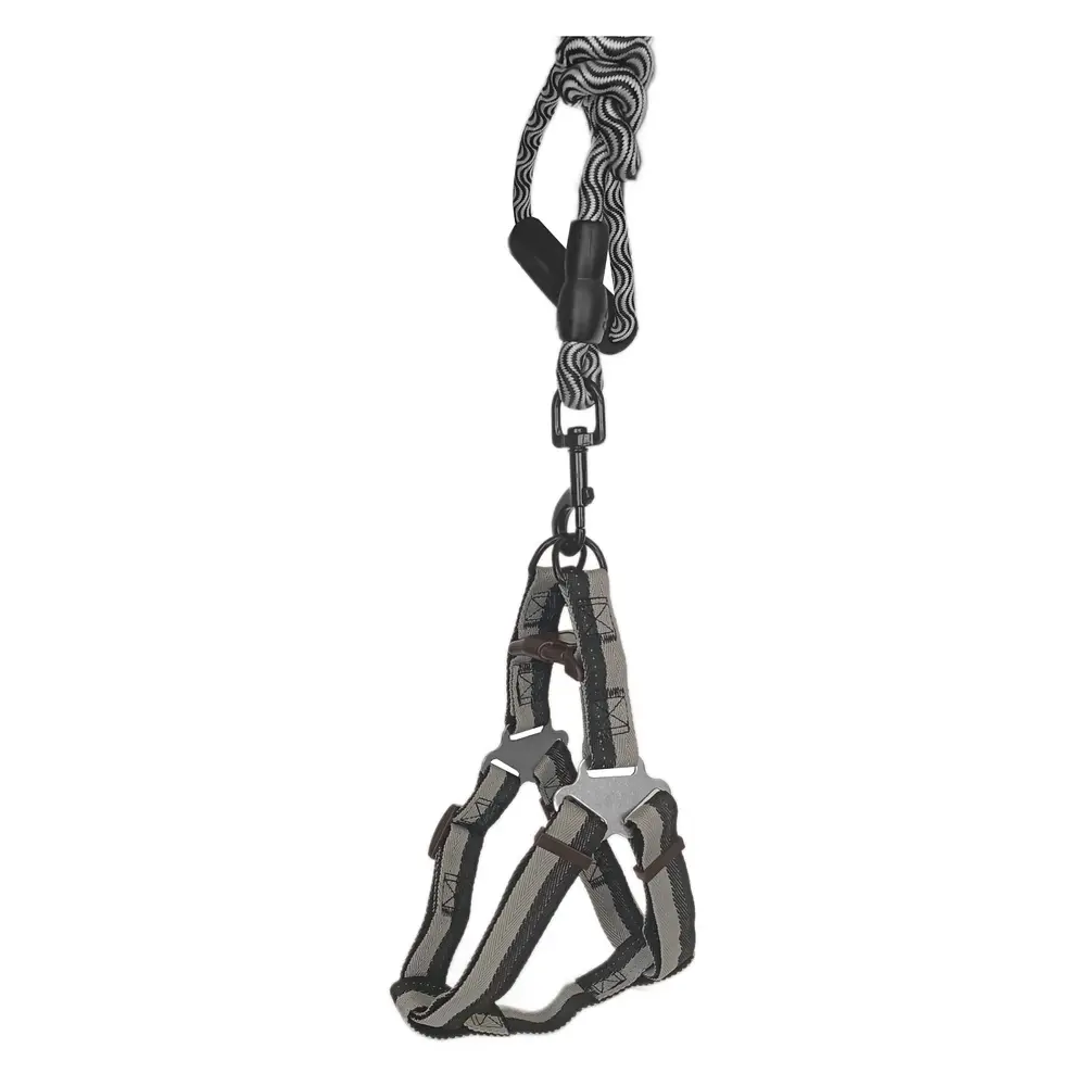 Köpek Göğüs Tasma Seti Daa Desenli 1.5 cm*35-48 cm Siyah-Beyaz 4