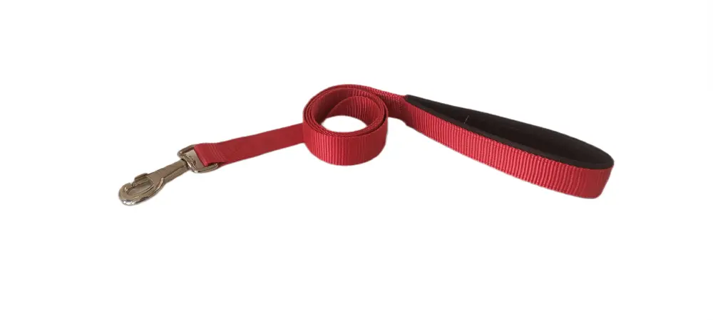 Köpek Gezdirme Kayışı 1,5 cm x 115 cm Kırmızı 3