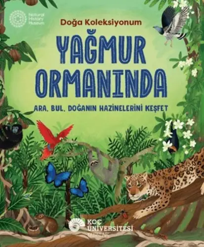 Yağmur Ormanında