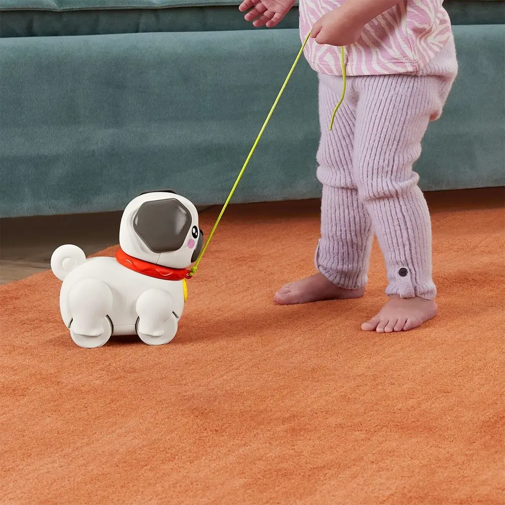 HTW94 Fisher-Price Minik Dostumla Yürüyüş 3