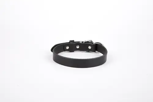 Deri El Yapımı Köpek Boyun Tasması 1,5x20-26 cm Siyah