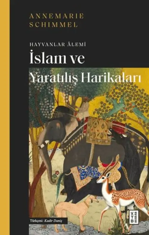 İslam ve tılış Harikaları
