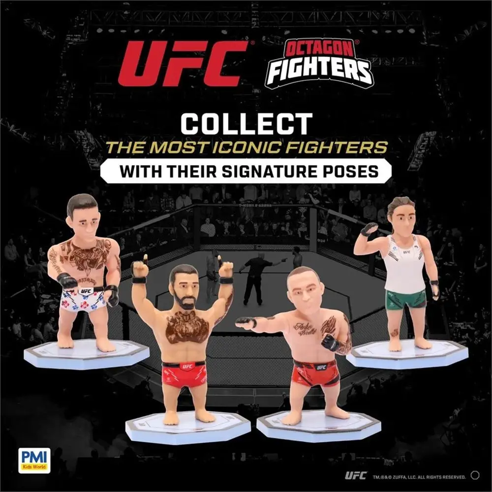 PMI/UFC2009 4