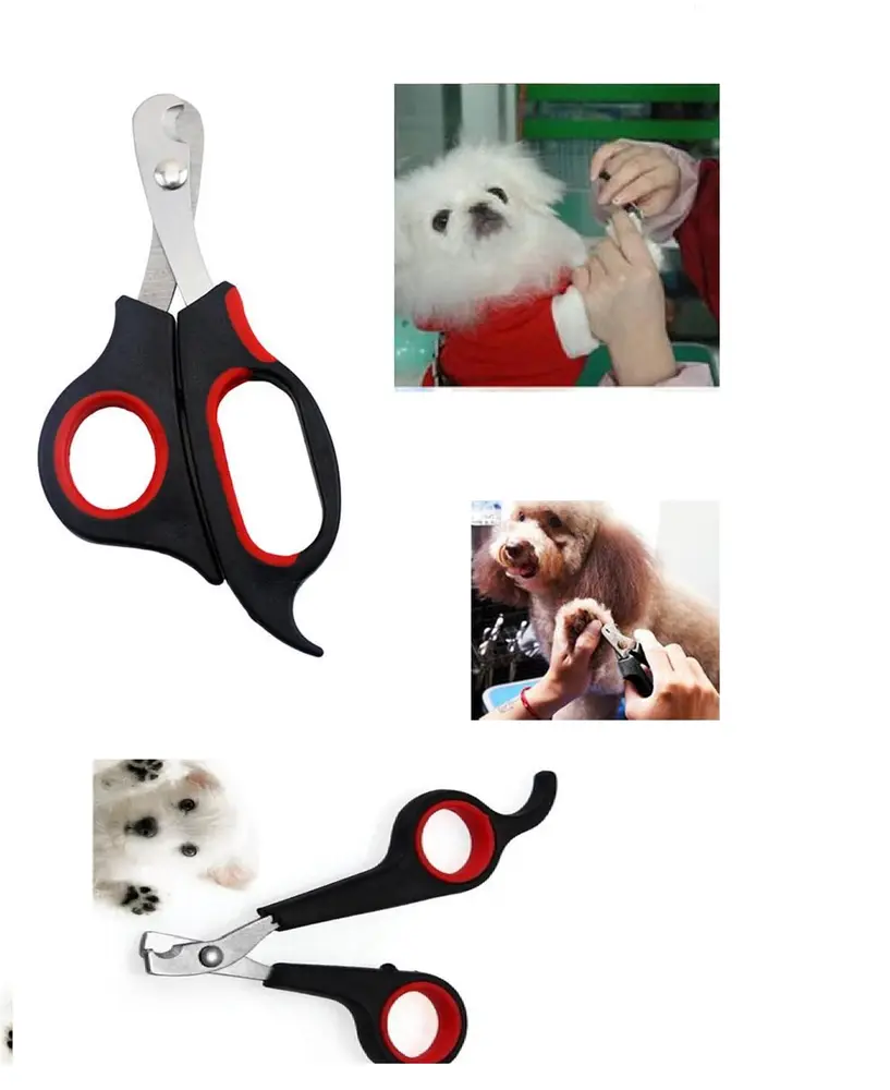 Büyük Boy Evcil Hayvan Köpek Kedi Çelik Uçlu Tırnak Makası Pati Bakım Aleti 4