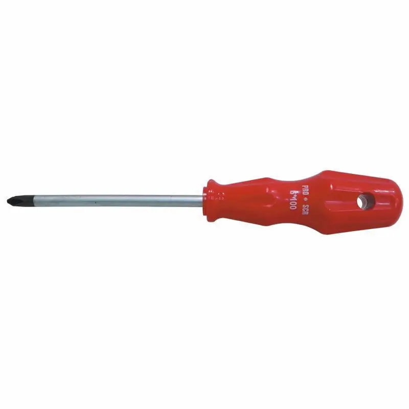 Pro-Scr 02581 Yıldız Uçlu Tornida 6X100 mm 2
