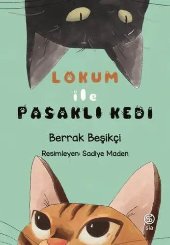 ile Pasaklı Kedi