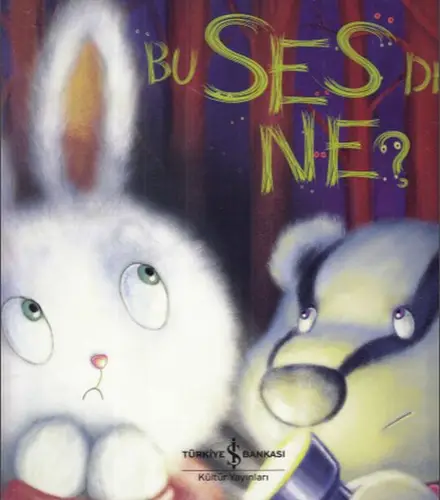 Bu Ses de Ne?
