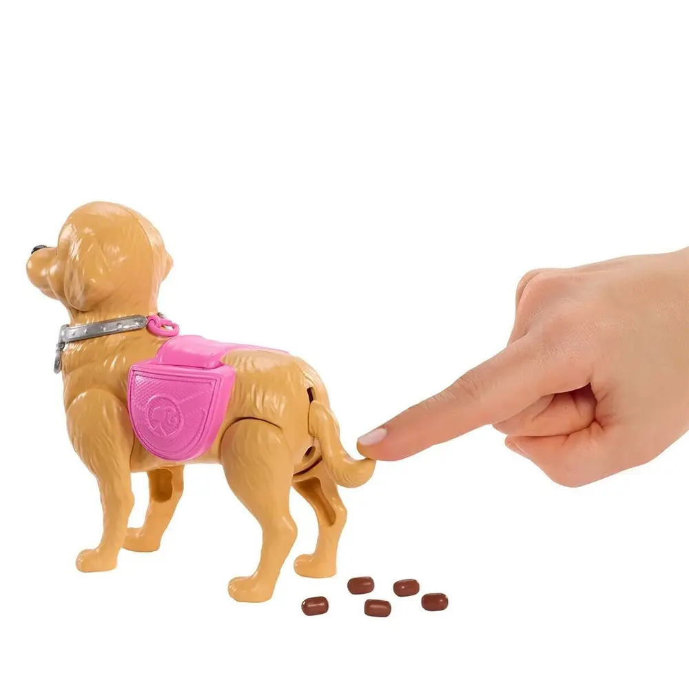 JJB46  ve Köpekçiğin Yürüyüş Zamanı 3
