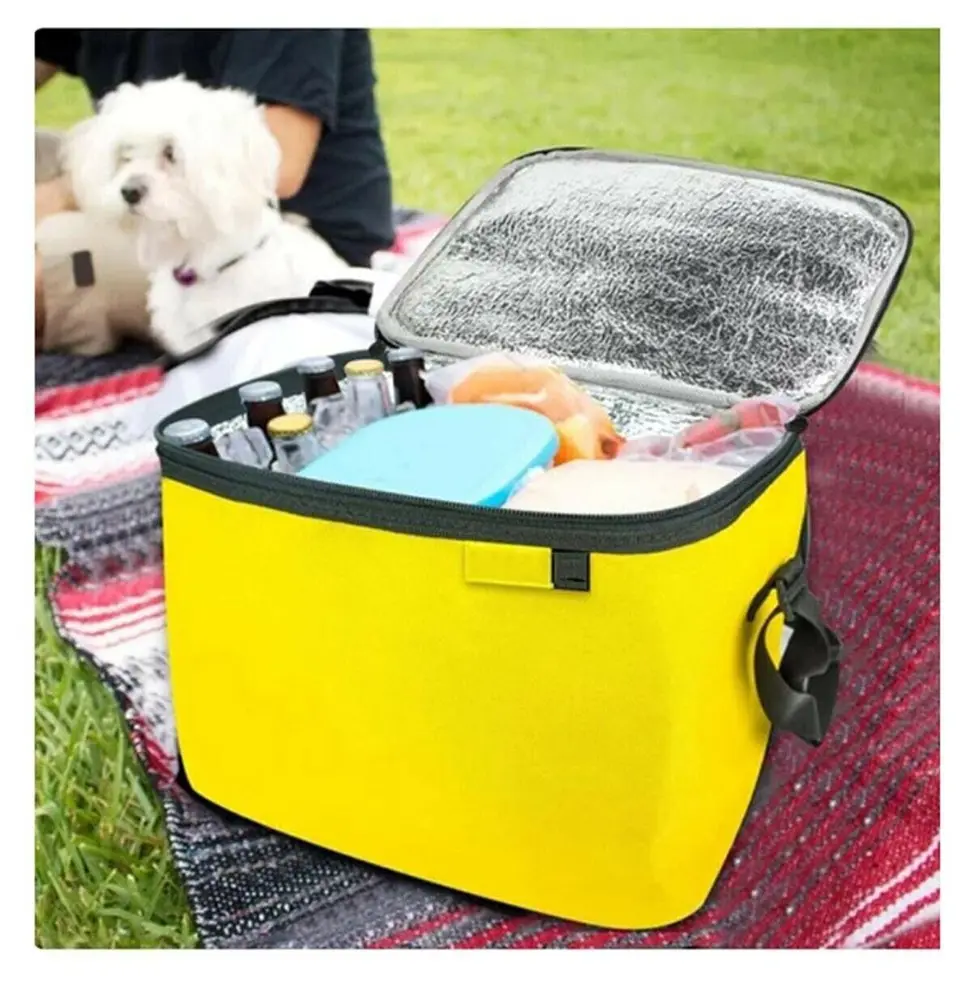 Termos Çanta - Piknik Çantası Buz Aküsü Hediyeli 40LT 2