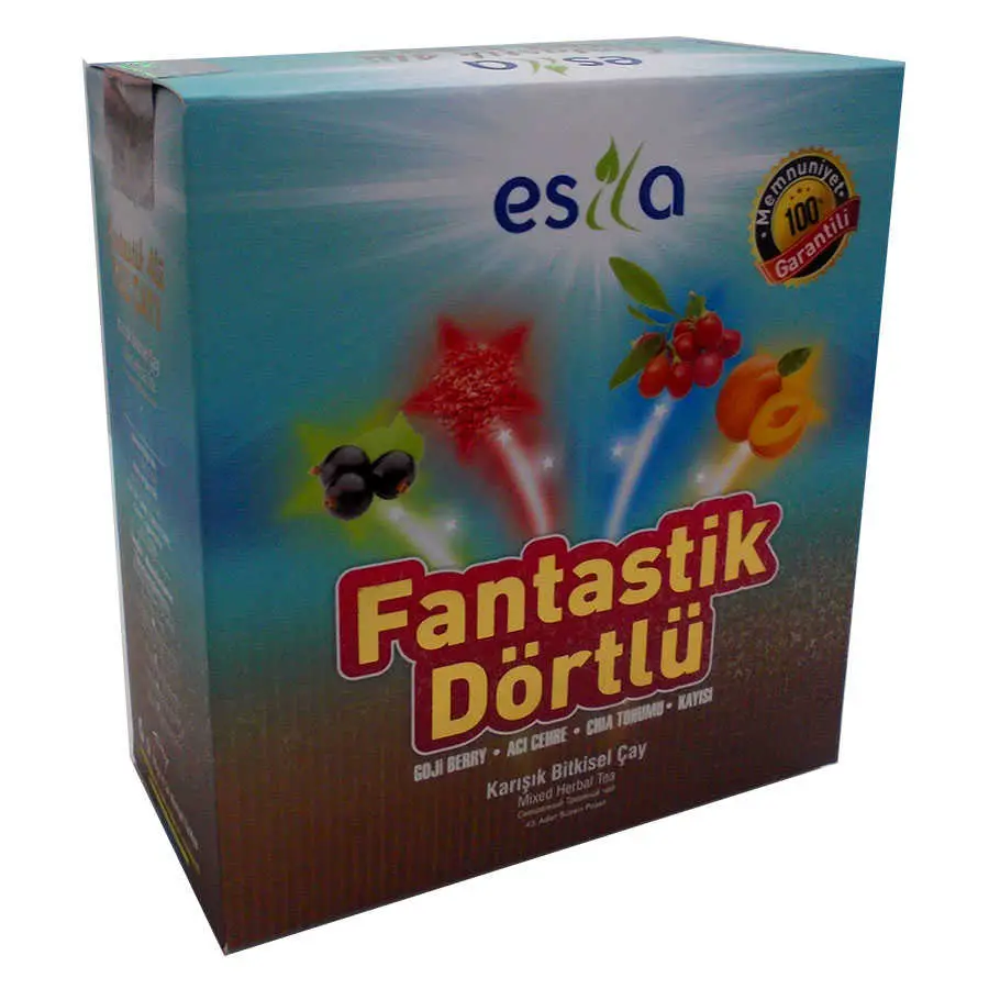 Fantastik Dörtlü sel Yaz Çayı 45 Süzen Poşet 4