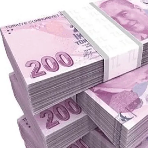 Şaka - 100 Adet 200 TL 2