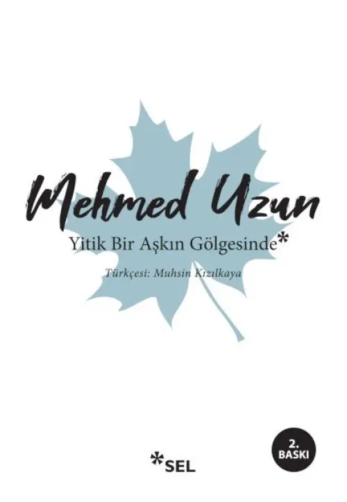 Yitik Bir Aşkın Göesinde
