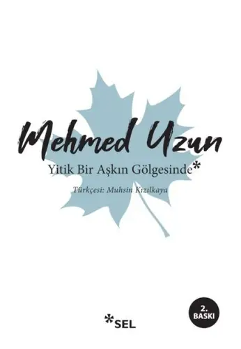 Yitik Bir Aşkın Göesinde