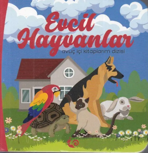 Evcil Hayvanlar - uç İçi larım Dizisi