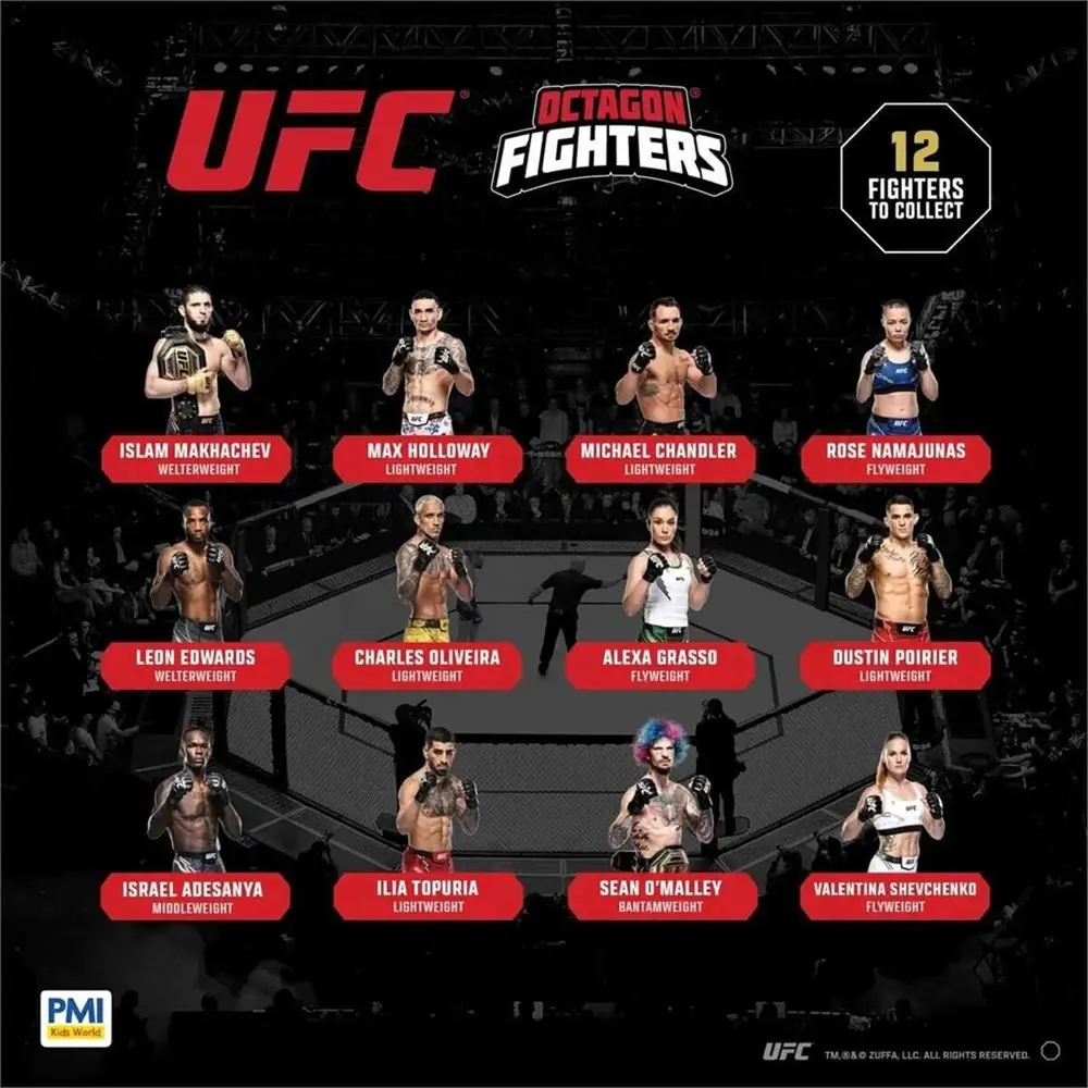 PMI/UFC2009 3