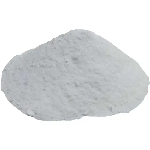 Salça Domates Turşu Koruyucu Toz Salisilik Asit 100 Gr Paket