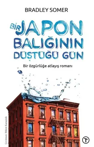 Bir Jn Balığının Düştüğü Gün