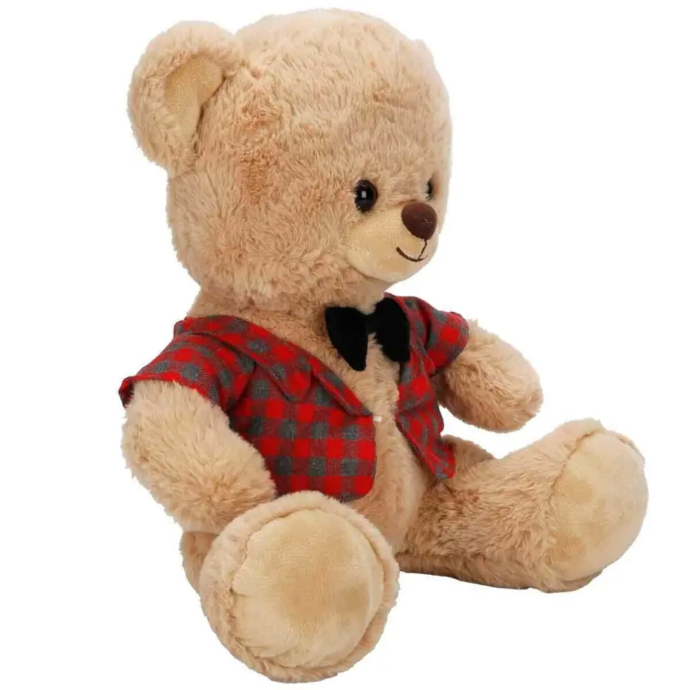 4810 SUN-JNH-PFF-SK PELUŞ AYI ELBİSELİ 32CM 2A 3