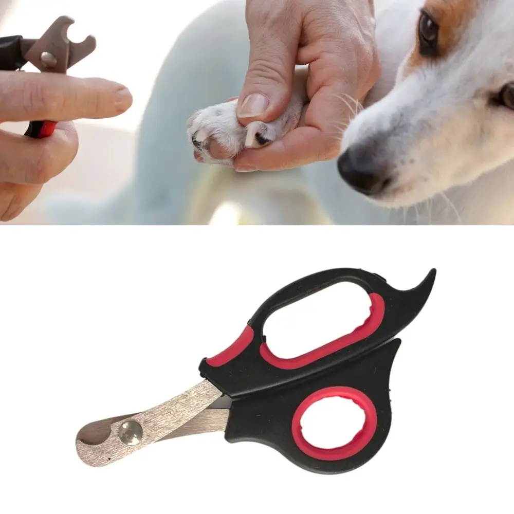 Büyük Boy Evcil Hayvan Köpek Kedi Çelik Uçlu Tırnak Makası Pati Bakım Aleti 2
